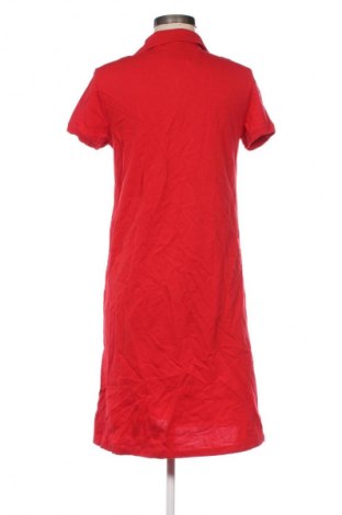 Φόρεμα U.S. Polo Assn., Μέγεθος L, Χρώμα Κόκκινο, Τιμή 39,99 €