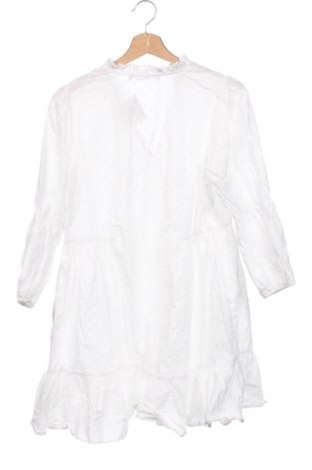 Kleid Zara, Größe XS, Farbe Mehrfarbig, Preis 13,63 €