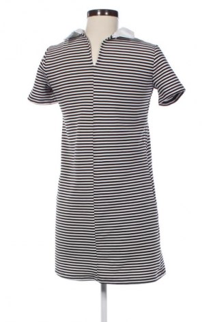 Kleid Zara Trafaluc, Größe S, Farbe Mehrfarbig, Preis 22,99 €