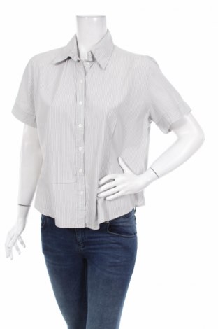Γυναικείο πουκάμισο Daniel Hechter, Μέγεθος XL, Χρώμα Γκρί, Τιμή 15,46 €