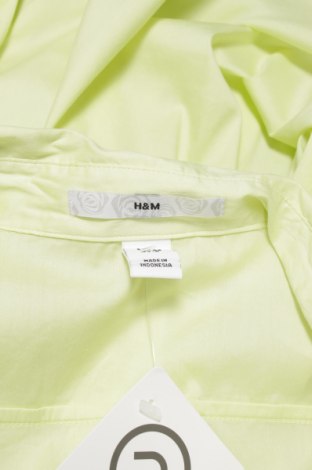 Γυναικείο πουκάμισο H&M, Μέγεθος XL, Χρώμα Πράσινο, Τιμή 21,03 €