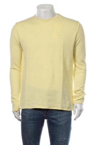 Herren Shirt Juvia, Größe M, Farbe Gelb, Preis 59,28 €