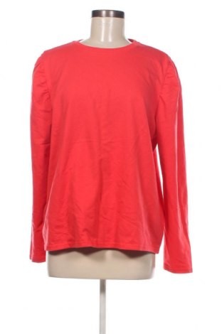 Γυναικεία μπλούζα, Μέγεθος XL, Χρώμα Κόκκινο, Τιμή 4,94 €