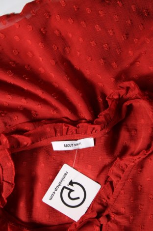 Γυναικεία μπλούζα About You, Μέγεθος XL, Χρώμα Πορτοκαλί, Τιμή 3,79 €
