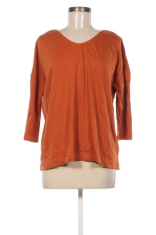 Damen Shirt Adagio, Größe XL, Farbe Braun, Preis 7,27 €