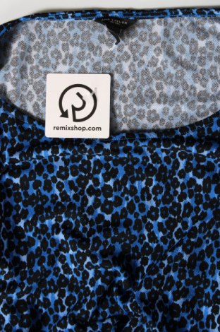Γυναικεία μπλούζα Ann Taylor, Μέγεθος S, Χρώμα Πολύχρωμο, Τιμή 17,00 €