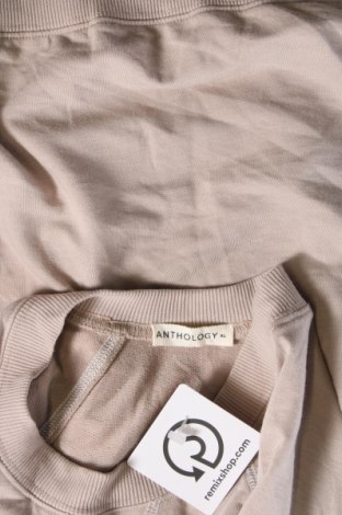 Γυναικεία μπλούζα Anthology, Μέγεθος XL, Χρώμα  Μπέζ, Τιμή 5,17 €