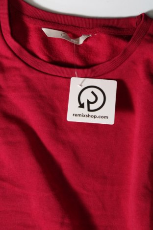 Damen Shirt Clockhouse, Größe M, Farbe Rot, Preis 5,68 €