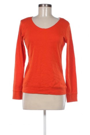 Γυναικεία μπλούζα Colours Of The World, Μέγεθος M, Χρώμα Πορτοκαλί, Τιμή 2,94 €
