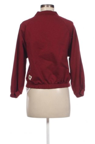 Damen Shirt Degree, Größe XS, Farbe Rot, Preis € 3,40