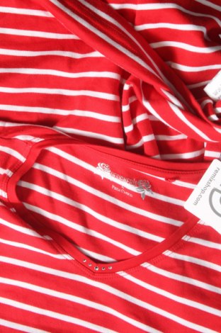 Γυναικεία μπλούζα Designer S, Μέγεθος L, Χρώμα Κόκκινο, Τιμή 5,17 €