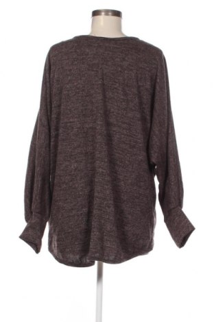 Damen Shirt Emma & Giovanni, Größe L, Farbe Braun, Preis 4,16 €