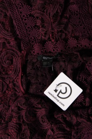 Γυναικεία μπλούζα Esmara, Μέγεθος M, Χρώμα Βιολετί, Τιμή 4,91 €