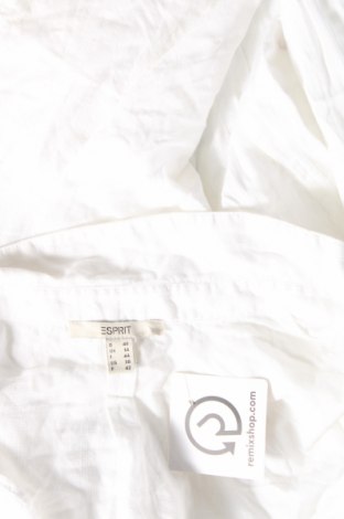 Damen Shirt Esprit, Größe M, Farbe Weiß, Preis € 10,20