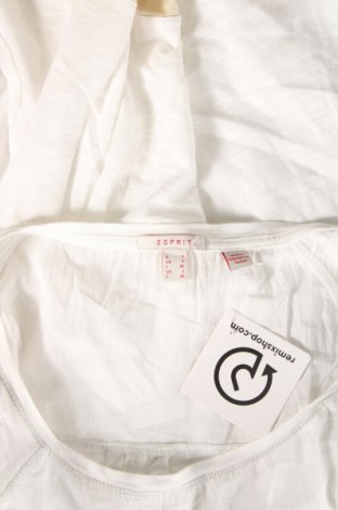 Damen Shirt Esprit, Größe L, Farbe Weiß, Preis 8,87 €