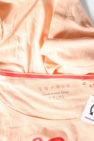 Γυναικεία μπλούζα Esprit, Μέγεθος L, Χρώμα Πορτοκαλί, Τιμή 15,04 €