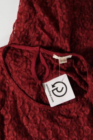 Damen Shirt Esprit, Größe XL, Farbe Rot, Preis 10,20 €