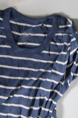 Damen Shirt Esprit, Größe S, Farbe Blau, Preis 4,73 €