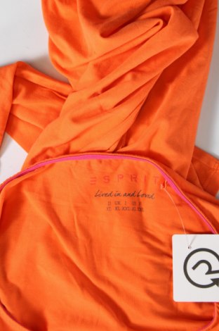 Damen Shirt Esprit, Größe XL, Farbe Orange, Preis € 10,65