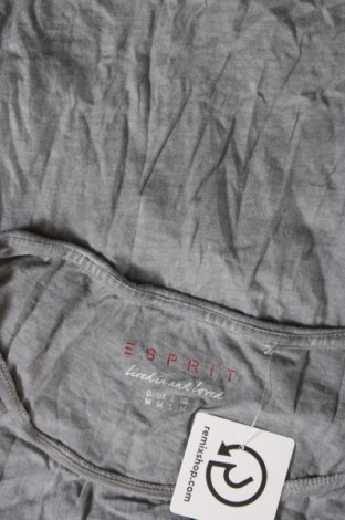 Damen Shirt Esprit, Größe M, Farbe Grau, Preis € 23,66