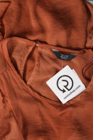 Damen Shirt F&F, Größe XS, Farbe Braun, Preis 4,96 €