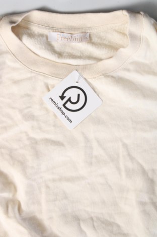 Γυναικεία μπλούζα Freebird, Μέγεθος XS, Χρώμα Εκρού, Τιμή 11,88 €