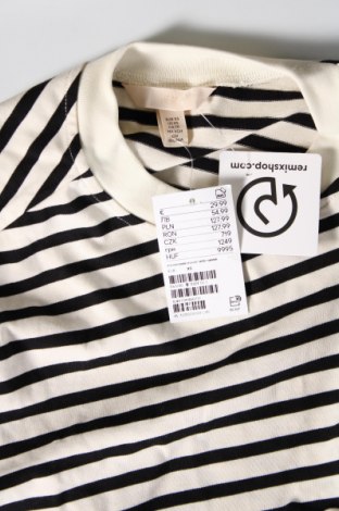Damen Shirt H&M, Größe XS, Farbe Mehrfarbig, Preis 9,72 €