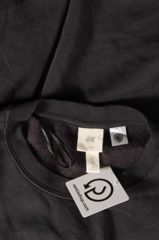 Damen Shirt H&M L.O.G.G., Größe M, Farbe Grau, Preis 3,31 €