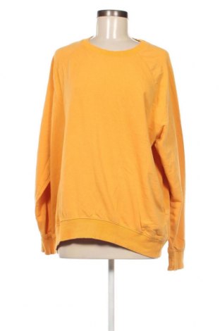 Γυναικεία μπλούζα House, Μέγεθος XL, Χρώμα Κίτρινο, Τιμή 5,17 €