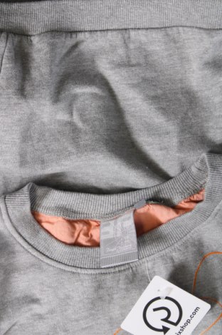 Γυναικεία μπλούζα Icepeak, Μέγεθος M, Χρώμα Γκρί, Τιμή 13,36 €