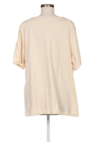 Γυναικεία μπλούζα Janina, Μέγεθος 3XL, Χρώμα  Μπέζ, Τιμή 19,18 €