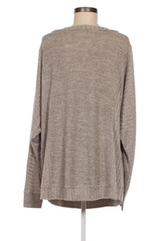 Damen Shirt Kori America, Größe XL, Farbe Beige, Preis € 10,20