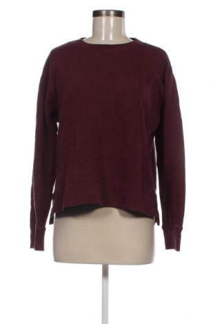 Damen Shirt Polo By Ralph Lauren, Größe M, Farbe Rot, Preis € 52,19