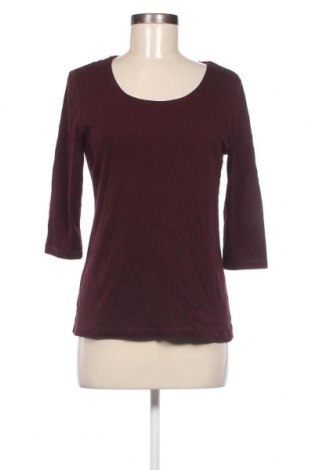 Damen Shirt Street One, Größe M, Farbe Rot, Preis 23,66 €