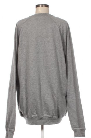 Γυναικεία μπλούζα Switcher, Μέγεθος XXL, Χρώμα Γκρί, Τιμή 4,11 €