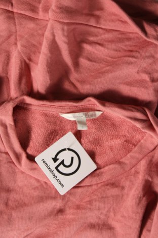 Damen Shirt Tom Tailor, Größe S, Farbe Rosa, Preis 5,99 €