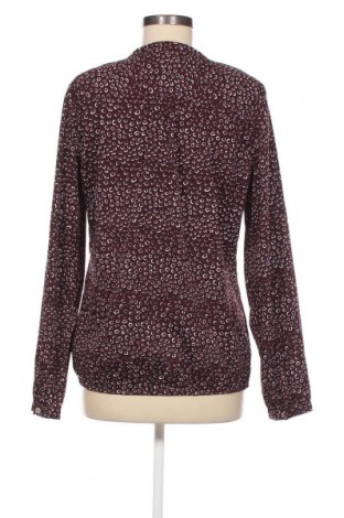 Γυναικεία μπλούζα Van Den Bergh, Μέγεθος L, Χρώμα Πολύχρωμο, Τιμή 4,82 €
