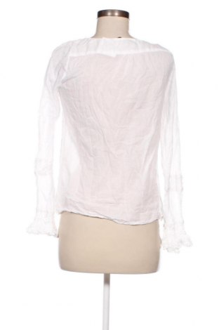 Damen Shirt Zara, Größe M, Farbe Weiß, Preis 6,49 €