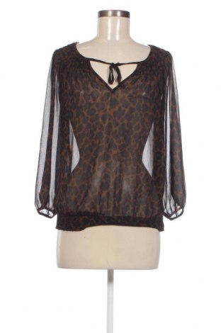 Damen Shirt Zara, Größe S, Farbe Mehrfarbig, Preis € 3,76