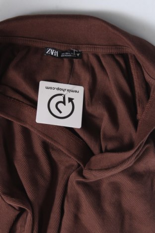 Damen Shirt Zara, Größe L, Farbe Braun, Preis 4,70 €
