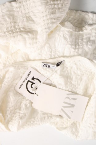 Damen Shirt Zara, Größe M, Farbe Weiß, Preis 10,79 €