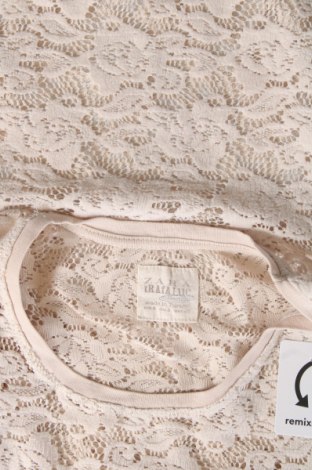 Damen Shirt Zara Trafaluc, Größe S, Farbe Beige, Preis 4,91 €