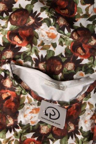 Damen Shirt Zara Trafaluc, Größe S, Farbe Grün, Preis 13,92 €