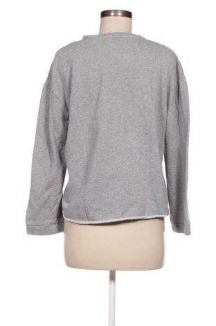 Damen Shirt Zara Trafaluc, Größe S, Farbe Grau, Preis 2,99 €