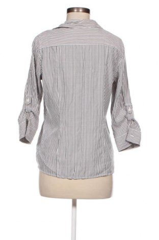 Γυναικείο πουκάμισο Croft & Barrow, Μέγεθος S, Χρώμα Πολύχρωμο, Τιμή 7,02 €