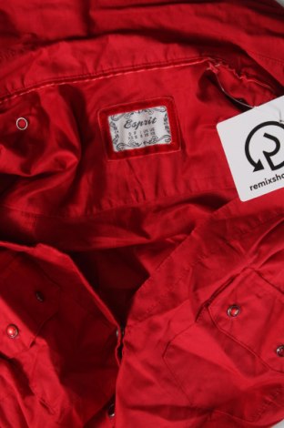 Γυναικείο πουκάμισο Esprit, Μέγεθος XS, Χρώμα Κόκκινο, Τιμή 10,54 €