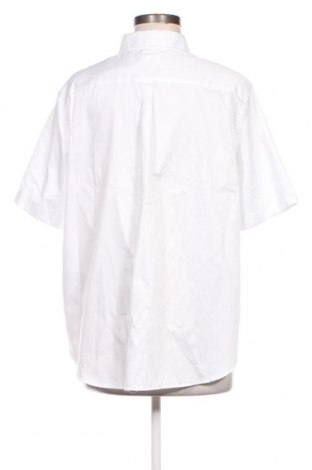 Γυναικείο πουκάμισο Seidensticker, Μέγεθος M, Χρώμα Λευκό, Τιμή 17,00 €