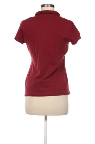 Damen T-Shirt Tommy Hilfiger, Größe M, Farbe Rot, Preis € 17,39