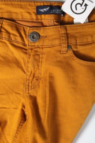 Damen Jeans Arizona, Größe M, Farbe Braun, Preis 6,05 €
