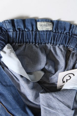 Damen Jeans Herrlicher, Größe S, Farbe Blau, Preis 20,88 €